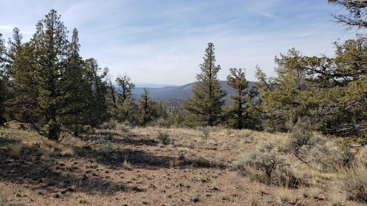 280-acres Southeast 280-acres Se Reed Road Prineville, OR 97754 - Photo 7 of 18 thumbnail_Resized_20191012_114958