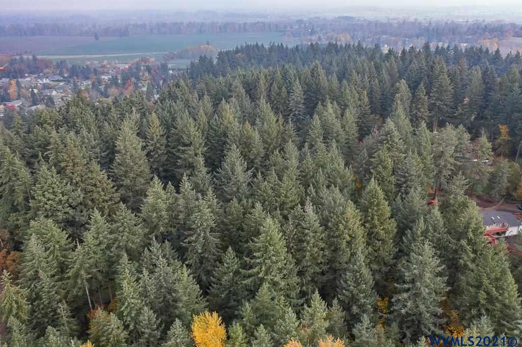 Bramblewood Lane Albany, OR 97321 - Photo 18 of 34
