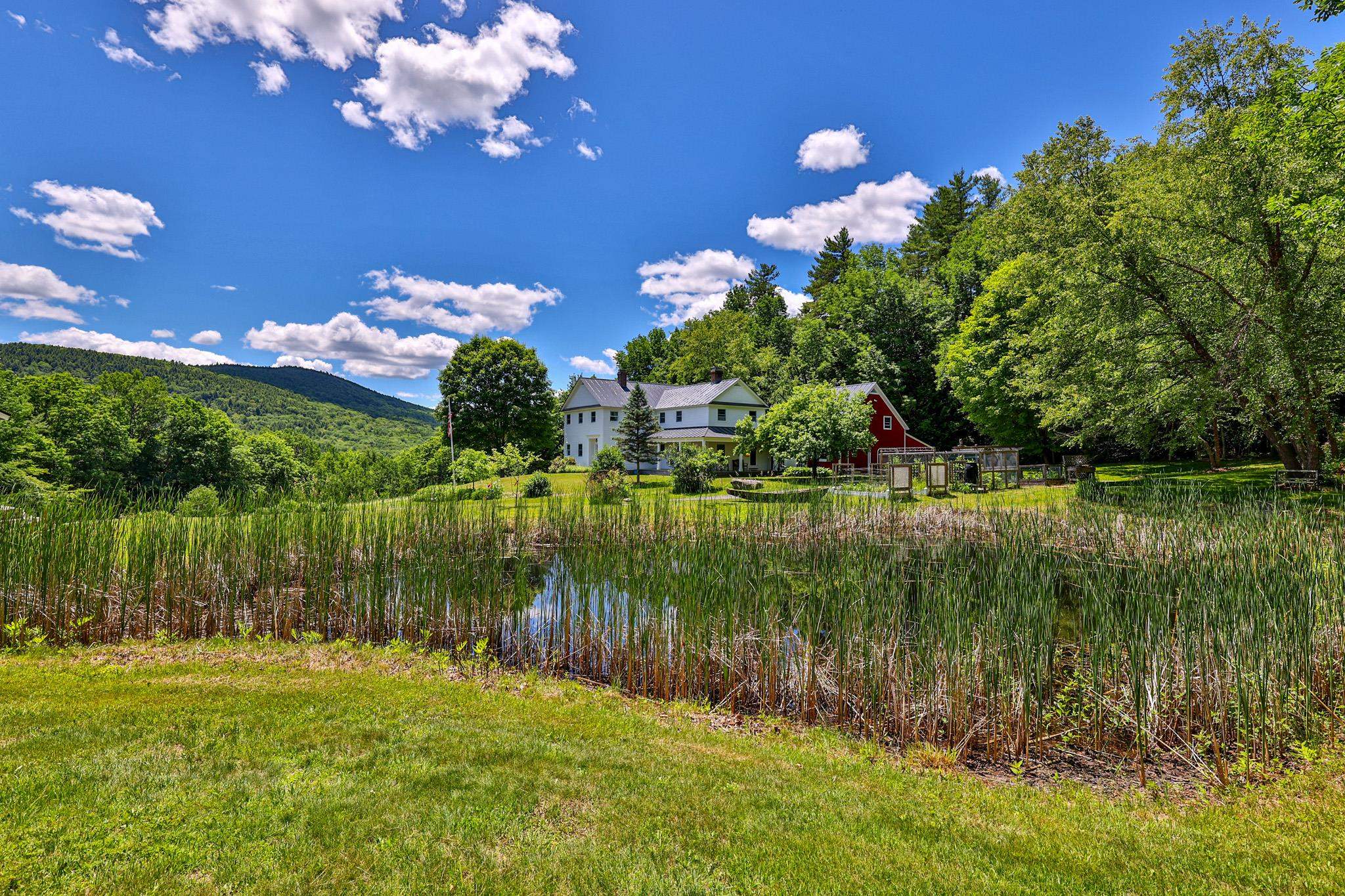 201 Chester Hill Road Grafton, VT 05146 - Photo 50 of 54