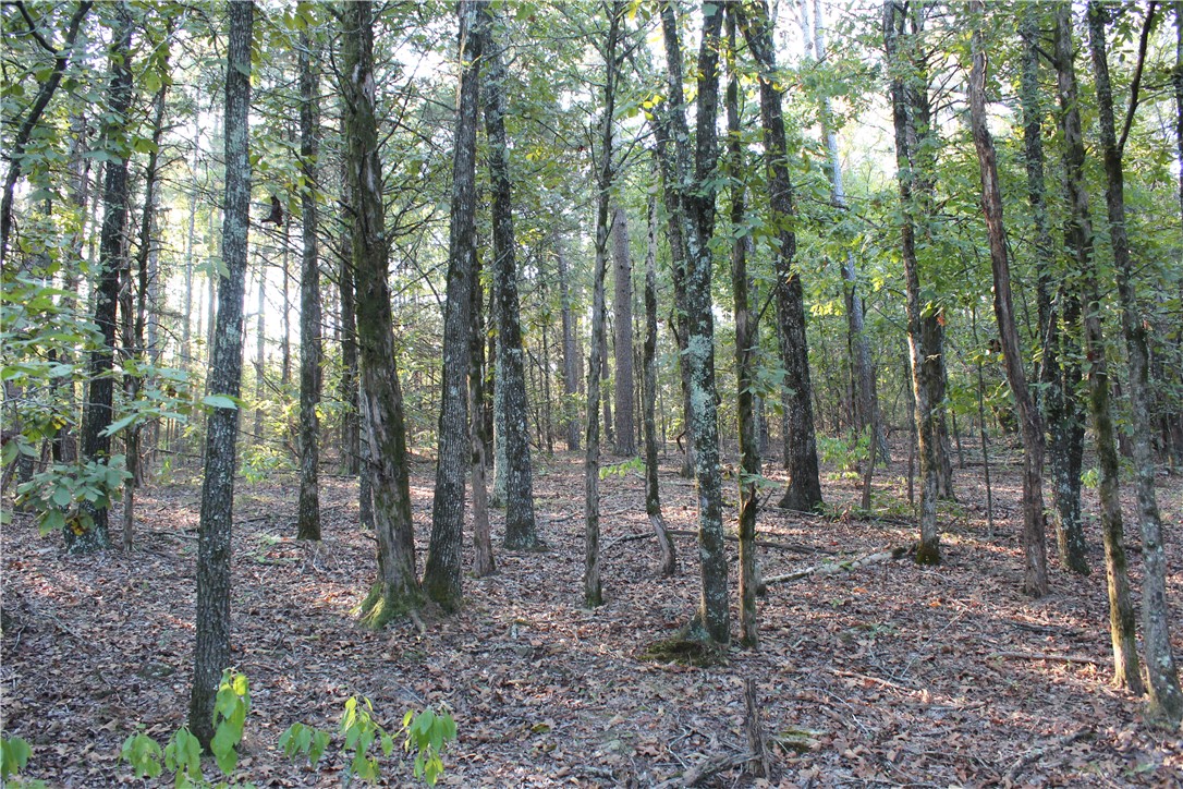 990 Mahan Drive Center Ridge, AR 72027 - Photo 23 of 31 Gallery Image 23