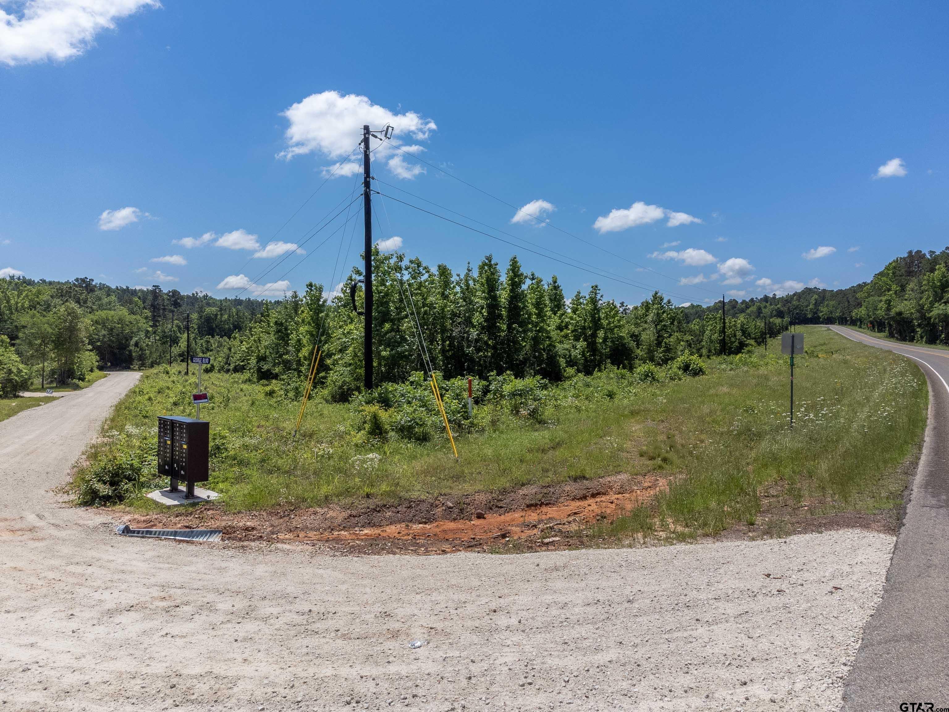 172 George Boulevard Rusk, TX 75785 - Photo 3 of 14 a view of a garden with a slide