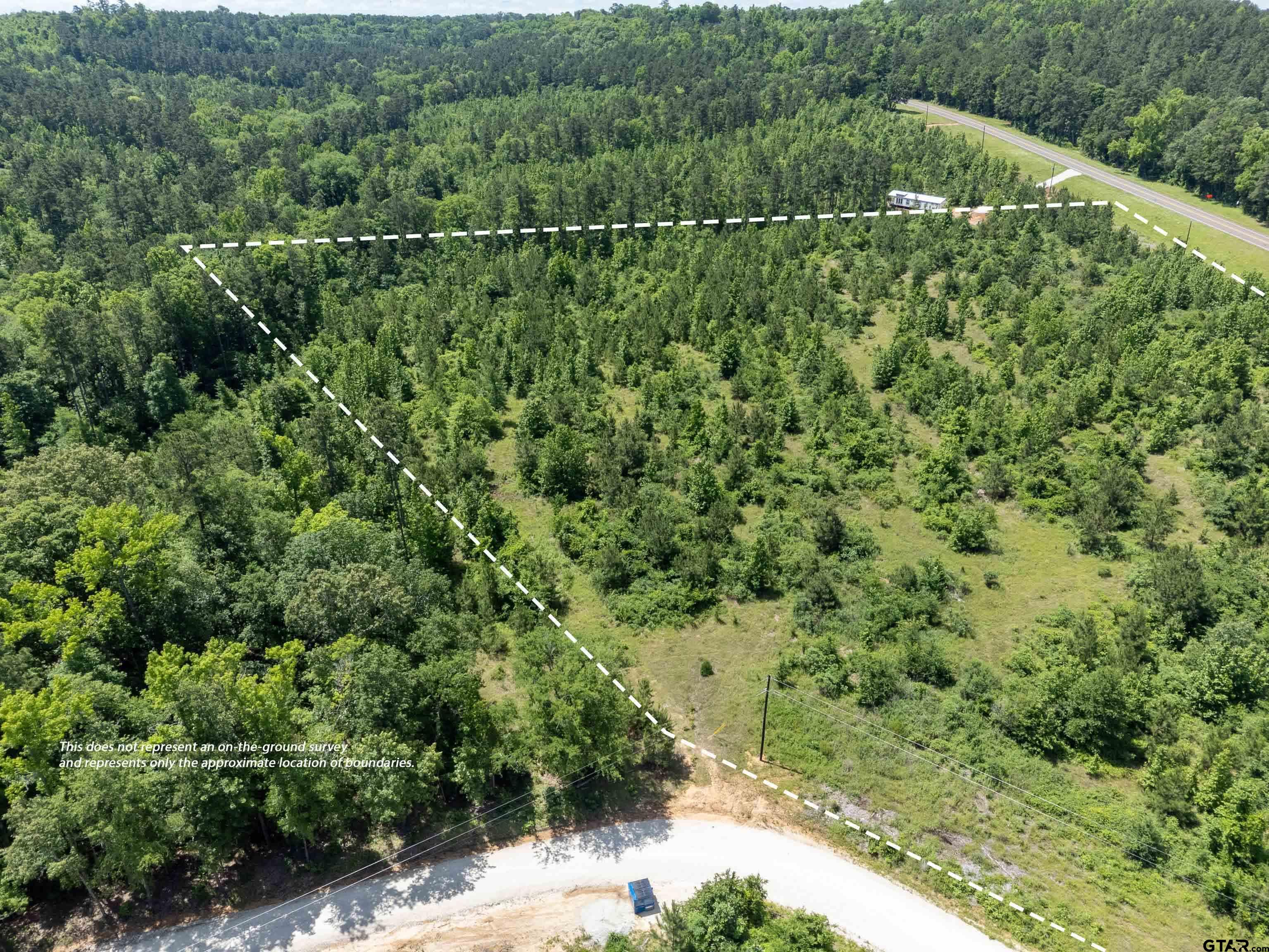 172 George Boulevard Rusk, TX 75785 - Photo 10 of 14 a view of a forest with a street