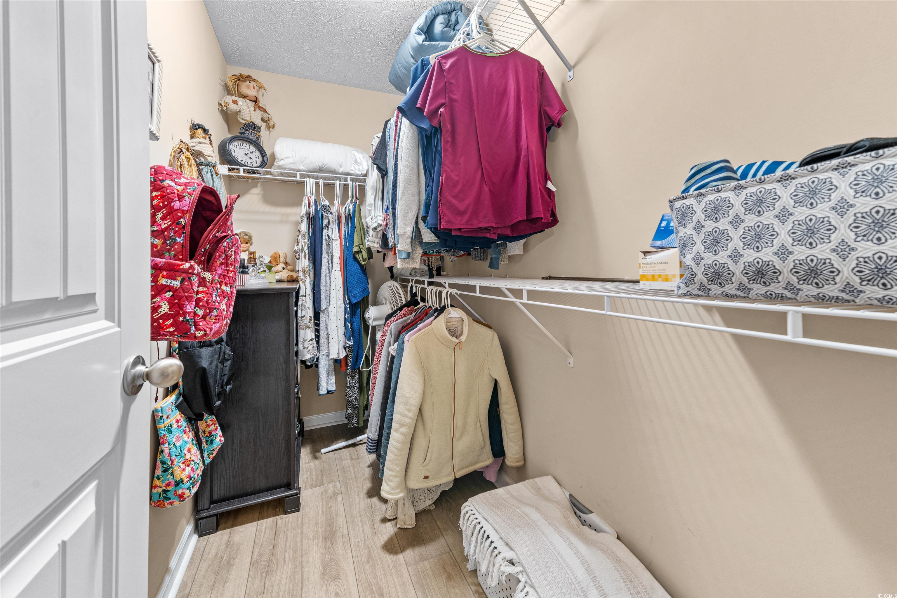 283 Beulah Circle Conway, SC 29527 - Photo 18 of 32 Walk in closet with light wood-style flooring