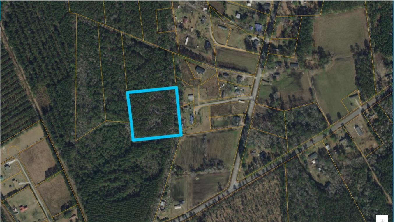 Tbd500 Tbd500 Cedar Branch Road Loris, SC 29569 - Photo 5 of 7