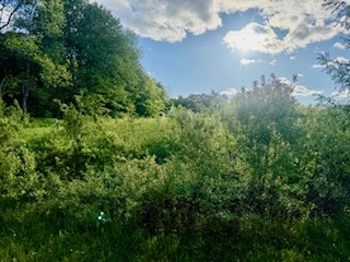 Ridgeview Road Norwich, NY 13815 - Photo 9 of 11