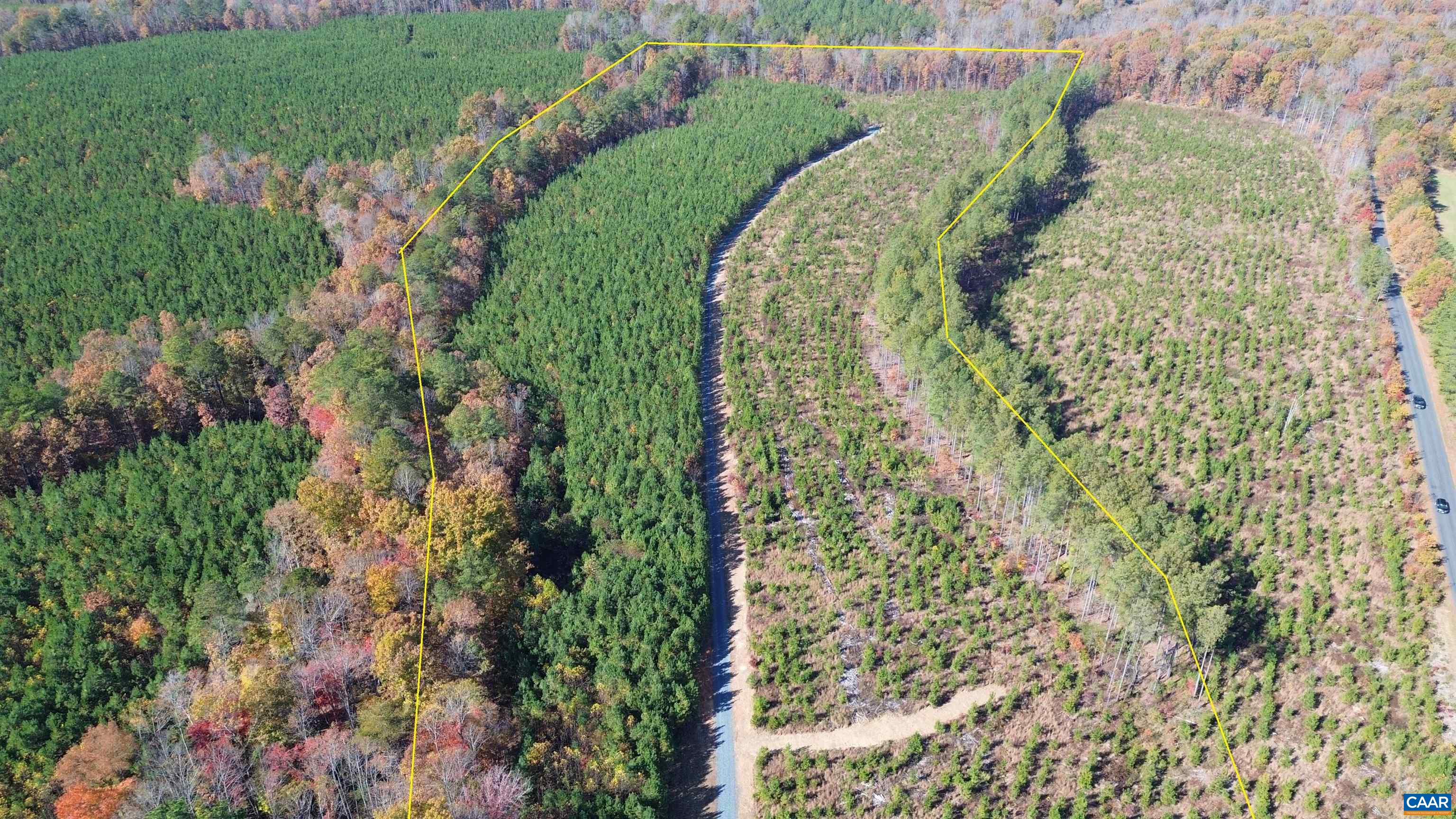 Tba Ridge Road Arvonia, VA 23004 - Photo 2 of 50 Approx Boundary