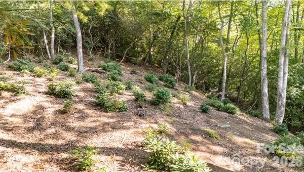 $79,000 | Tbd Clear Crk Drive, Unit 17, Newland, NC 28657