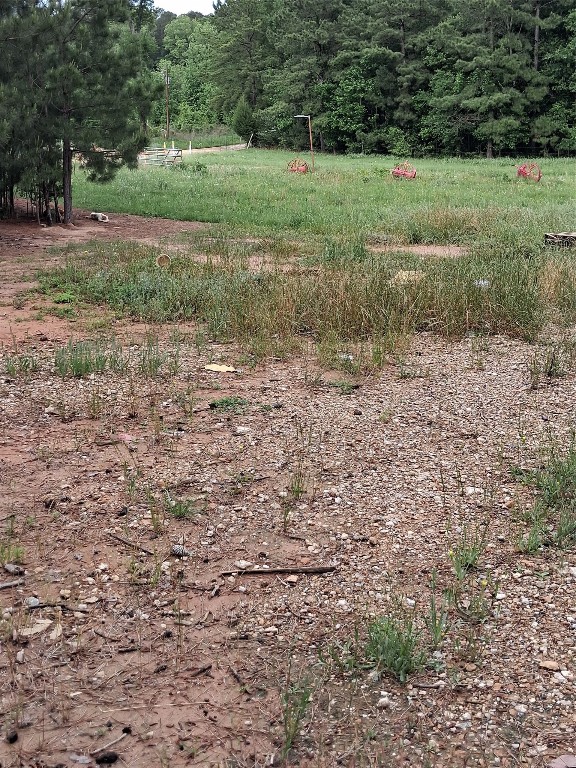 3646 Upper Leggett Road Livingston, TX 77351 - Photo 14 of 43 a view of a field with large trees
