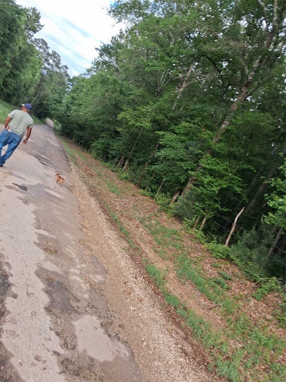 3646 Upper Leggett Road Livingston, TX 77351 - Photo 20 of 43 a view of a road with trees in the background