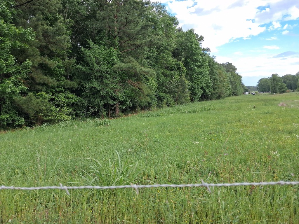 3646 Upper Leggett Road Livingston, TX 77351 - Photo 21 of 43 a view of a lush green field