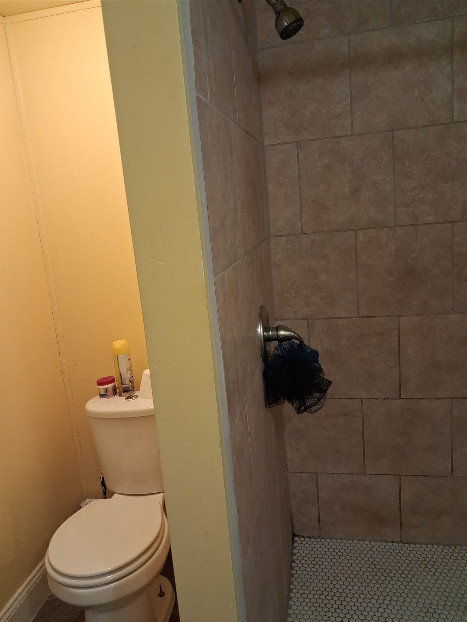 3646 Upper Leggett Road Livingston, TX 77351 - Photo 24 of 43 a white toilet sitting next to a shower