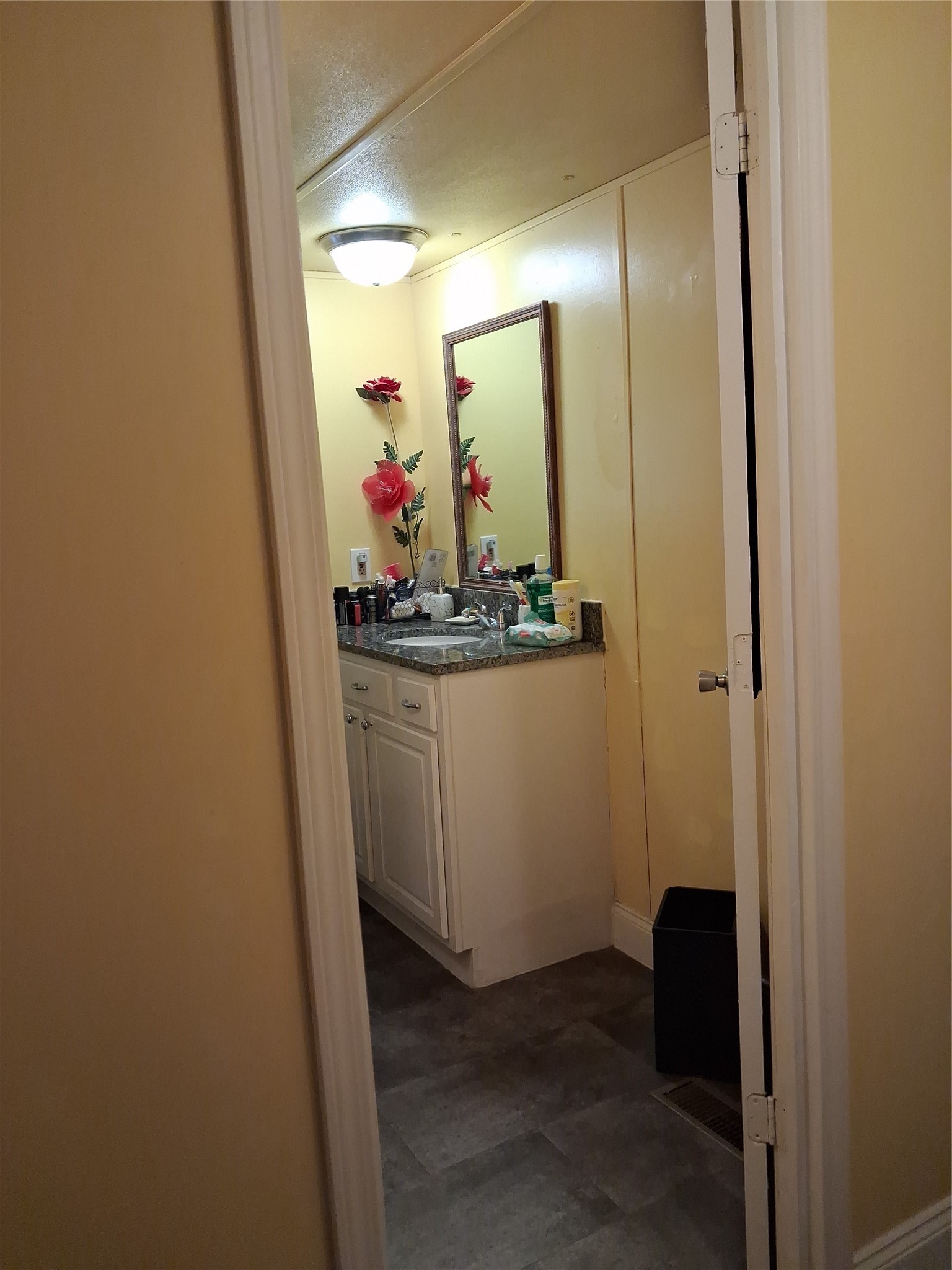 3646 Upper Leggett Road Livingston, TX 77351 - Photo 27 of 43 a bathroom with a sink and a mirror