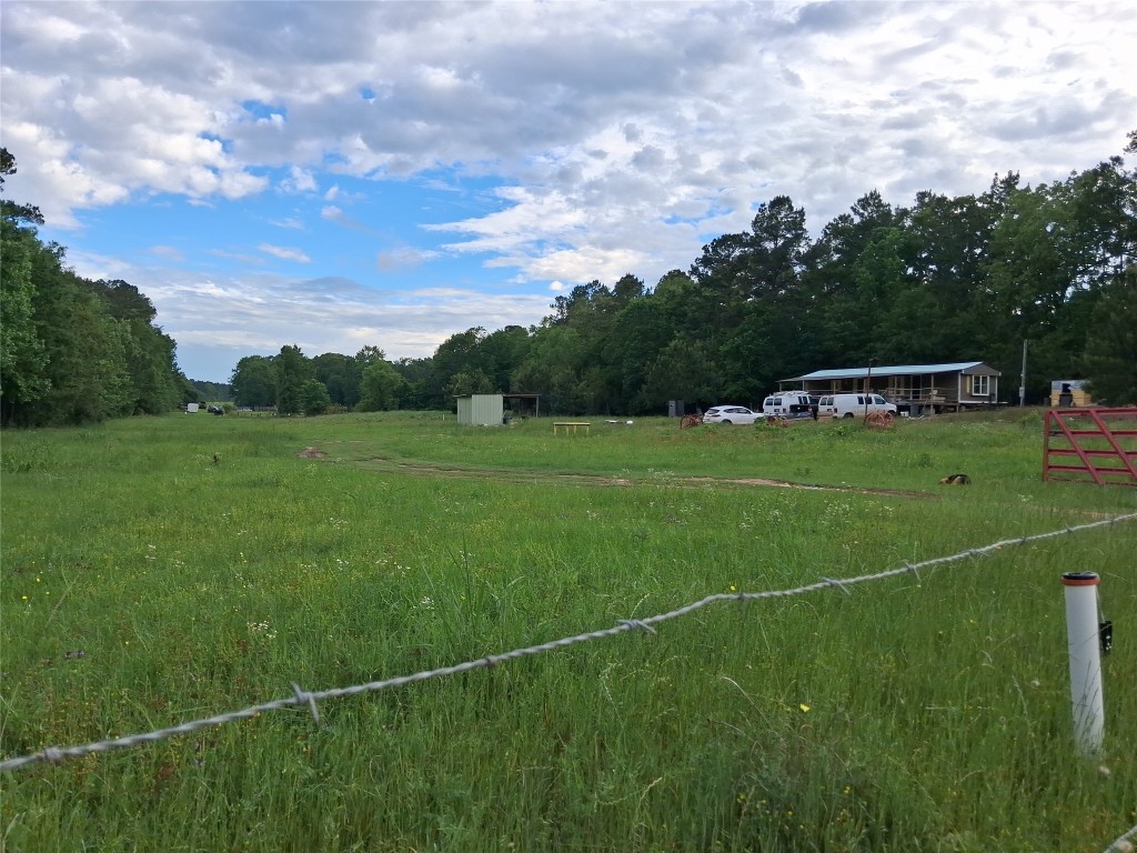 3646 Upper Leggett Road Livingston, TX 77351 - Photo 3 of 43 a view of a field with grass and trees