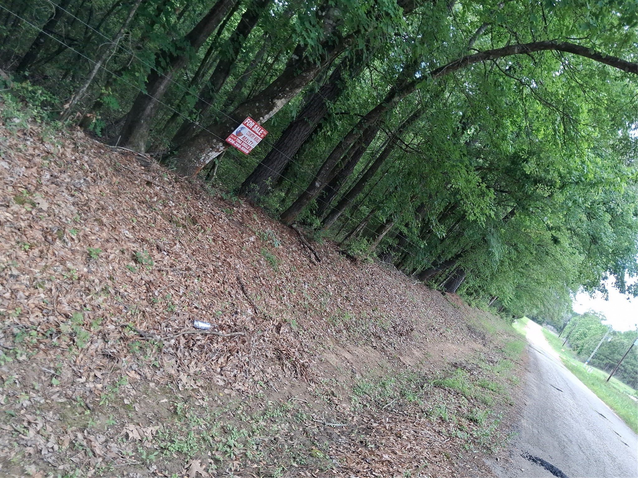 3646 Upper Leggett Road Livingston, TX 77351 - Photo 43 of 43 a view of path along with trees