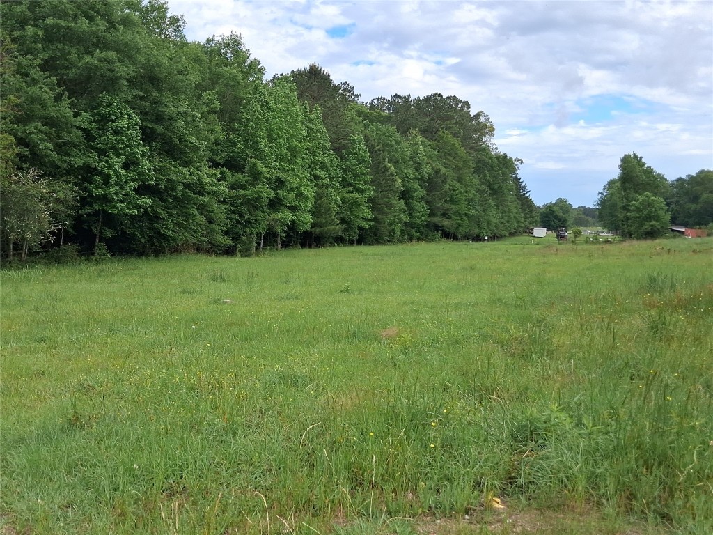3646 Upper Leggett Road Livingston, TX 77351 - Photo 6 of 43 a view of field with trees in the background