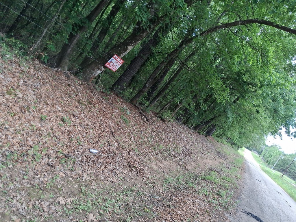 3646 Upper Leggett Road Livingston, TX 77351 - Photo 8 of 43 a view of path along with trees