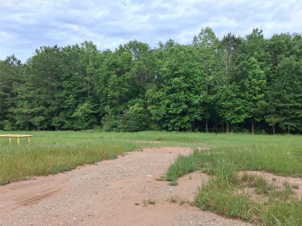 3646 Upper Leggett Road Livingston, TX 77351 - Photo 10 of 43