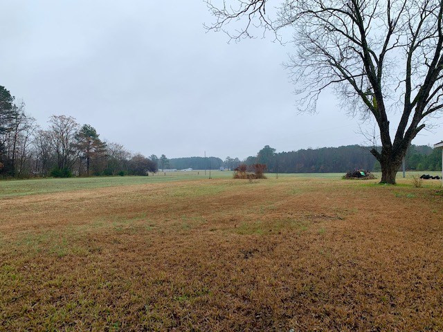 1173 Hatcher Road Selma, NC 27576 - Photo 3 of 19 Land/Lot