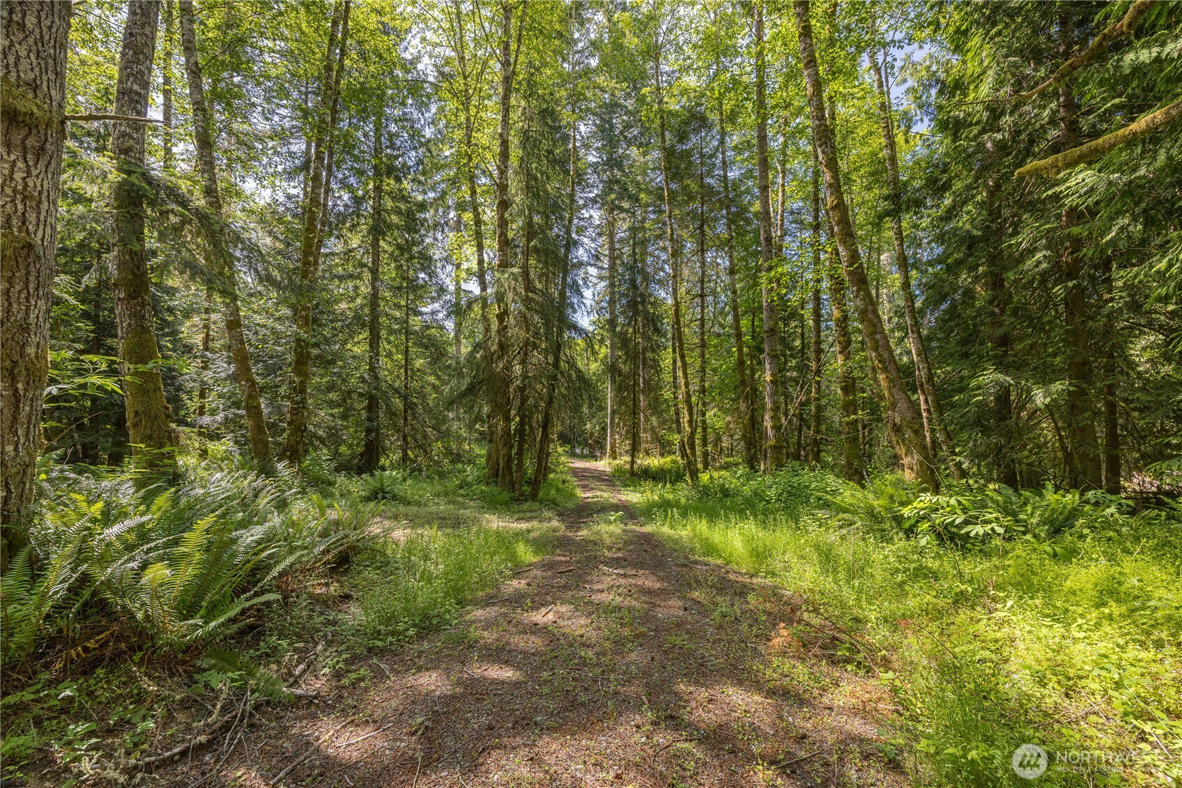 0 Durrwachter Road Port Angeles, WA 98363 - Photo 17 of 33 Gallery Image 17