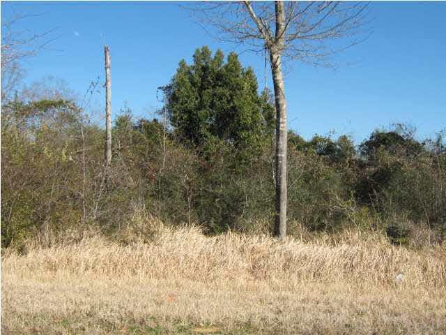 5050 Chestnut Road Molino, FL 32577 - Photo 15 of 20 Gallery Image 15