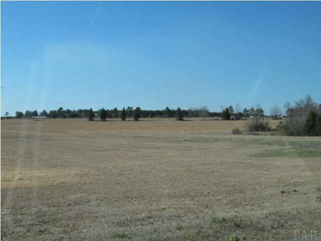 5050 Chestnut Road Molino, FL 32577 - Photo 20 of 20 Great place to build a home and raise a family or retire.