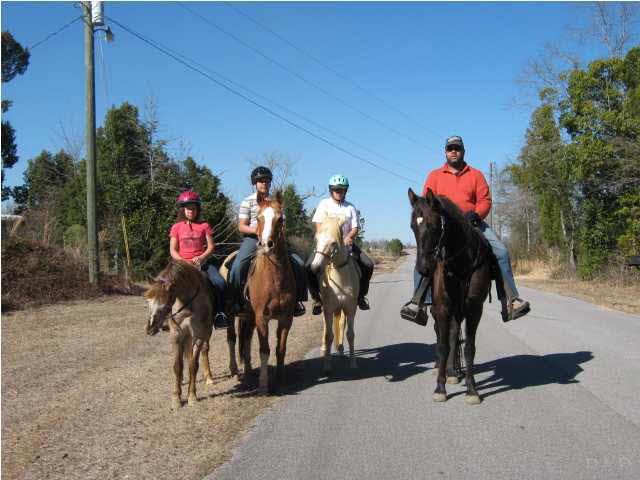 5050 Chestnut Road Molino, FL 32577 - Photo 2 of 20 Bring your horses.