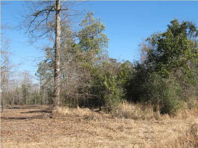 5050 Chestnut Road Molino, FL 32577 - Photo 3 of 20 Gallery Image 3