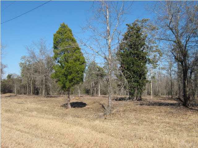 5050 Chestnut Road Molino, FL 32577 - Photo 5 of 20 Gallery Image 5