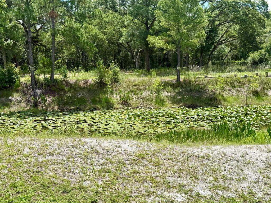 Long Circle Webster, FL 33597 - Photo 9 of 11