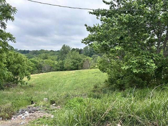 299 Tom Beasley Road Westmoreland, TN 37186 - Photo 22 of 23