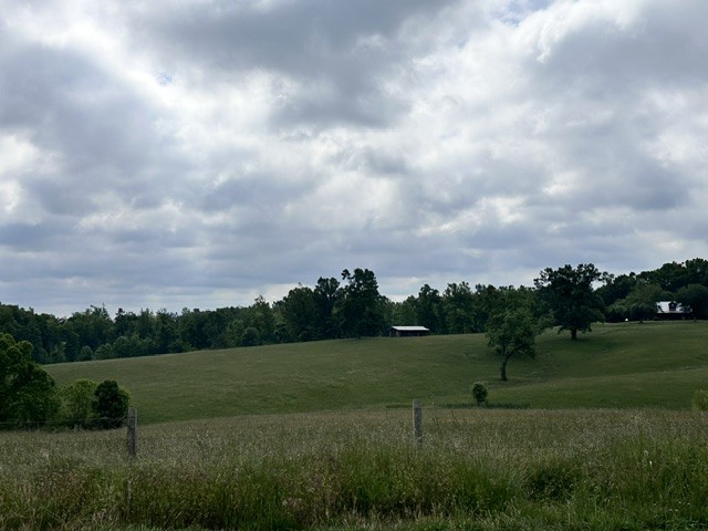 299 Tom Beasley Road Westmoreland, TN 37186 - Photo 23 of 23