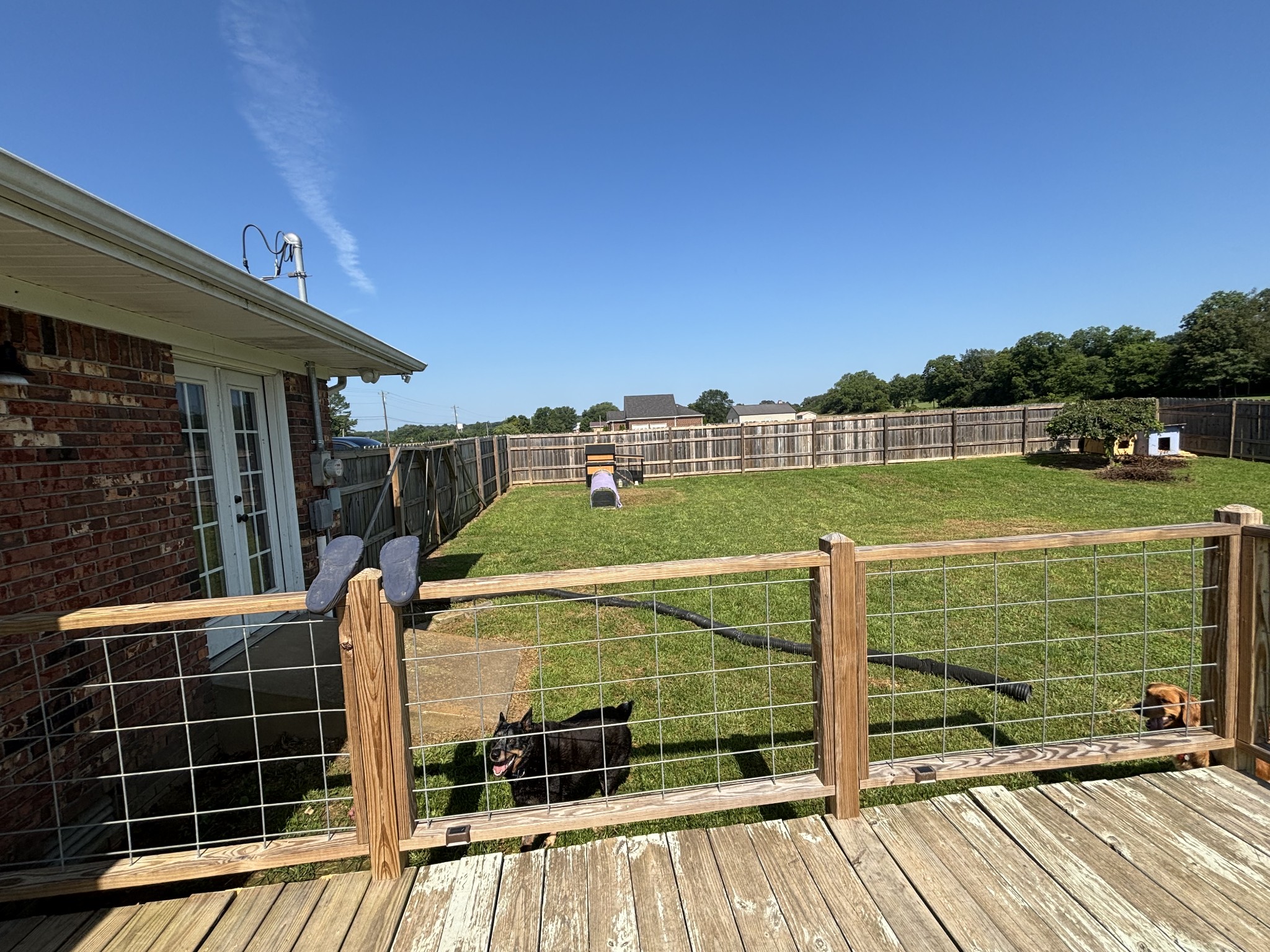 374 Highway 50 Centerville, TN 37033 - Photo 13 of 19