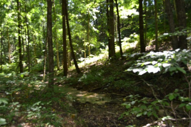 0 Pea Ridge Fire Tower Road Celina, TN 38551 - Photo 15 of 53