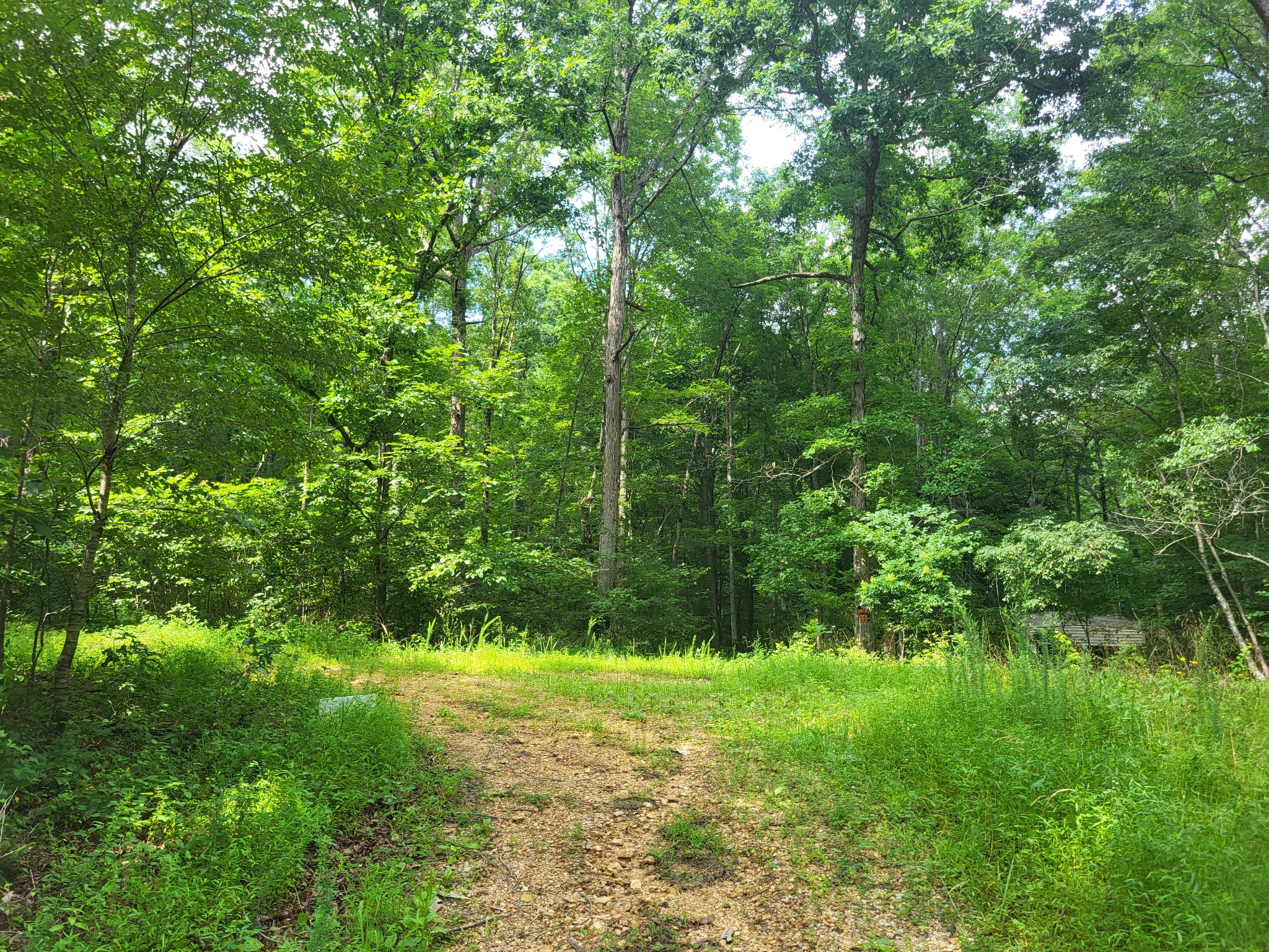 0 Macdonald Loop Dickson, TN 37055 - Photo 2 of 10
