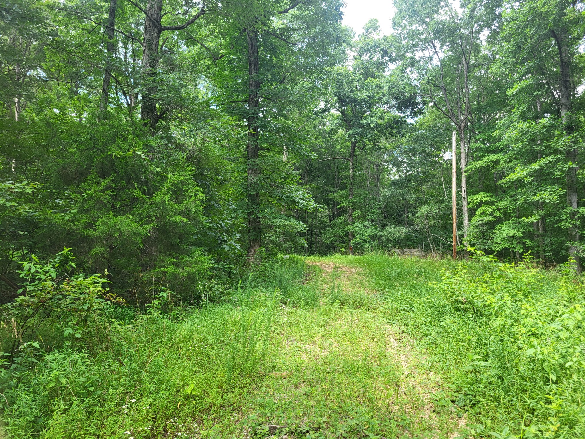 0 Macdonald Loop Dickson, TN 37055 - Photo 3 of 10