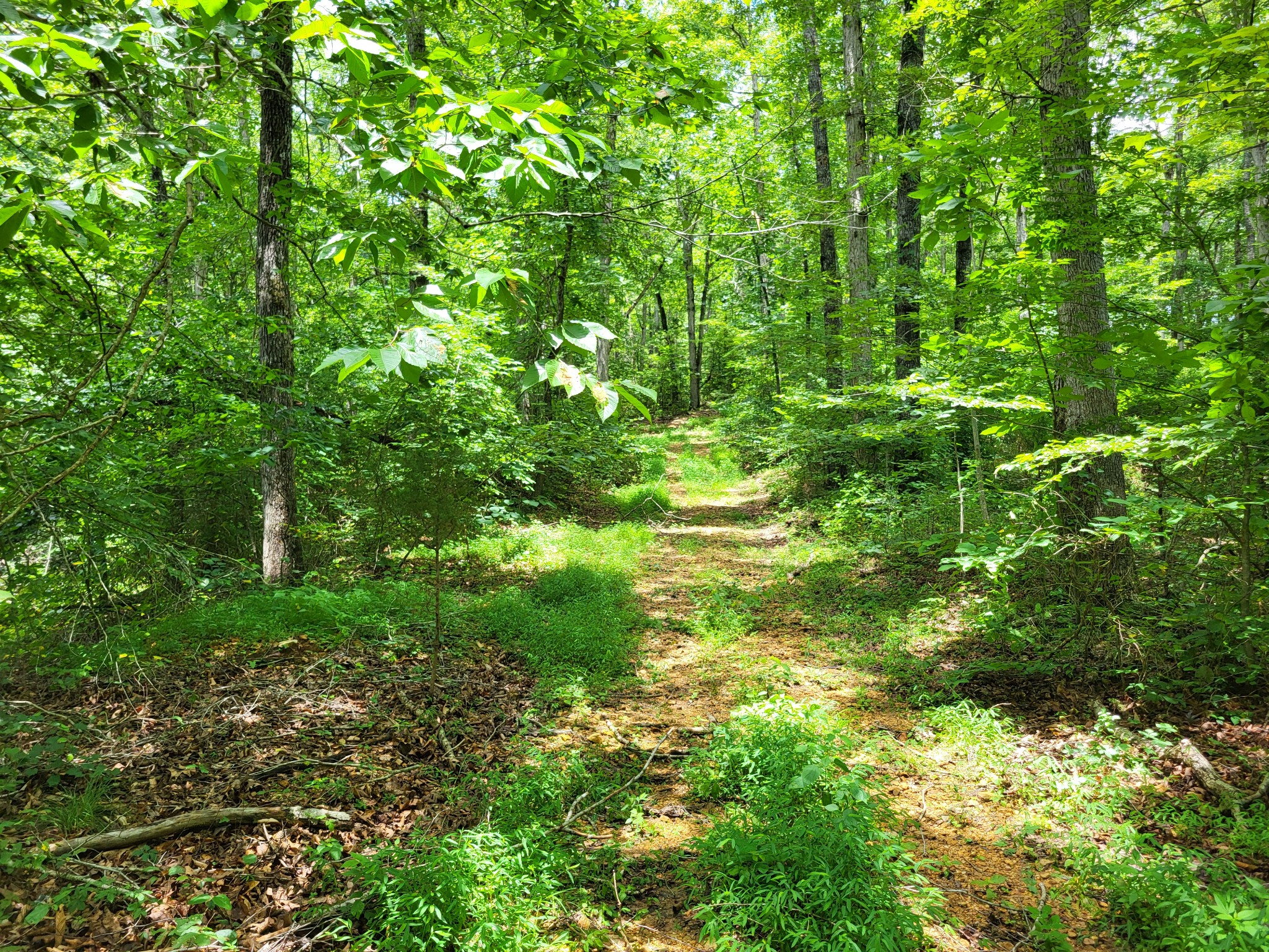 0 Macdonald Loop Dickson, TN 37055 - Photo 4 of 10