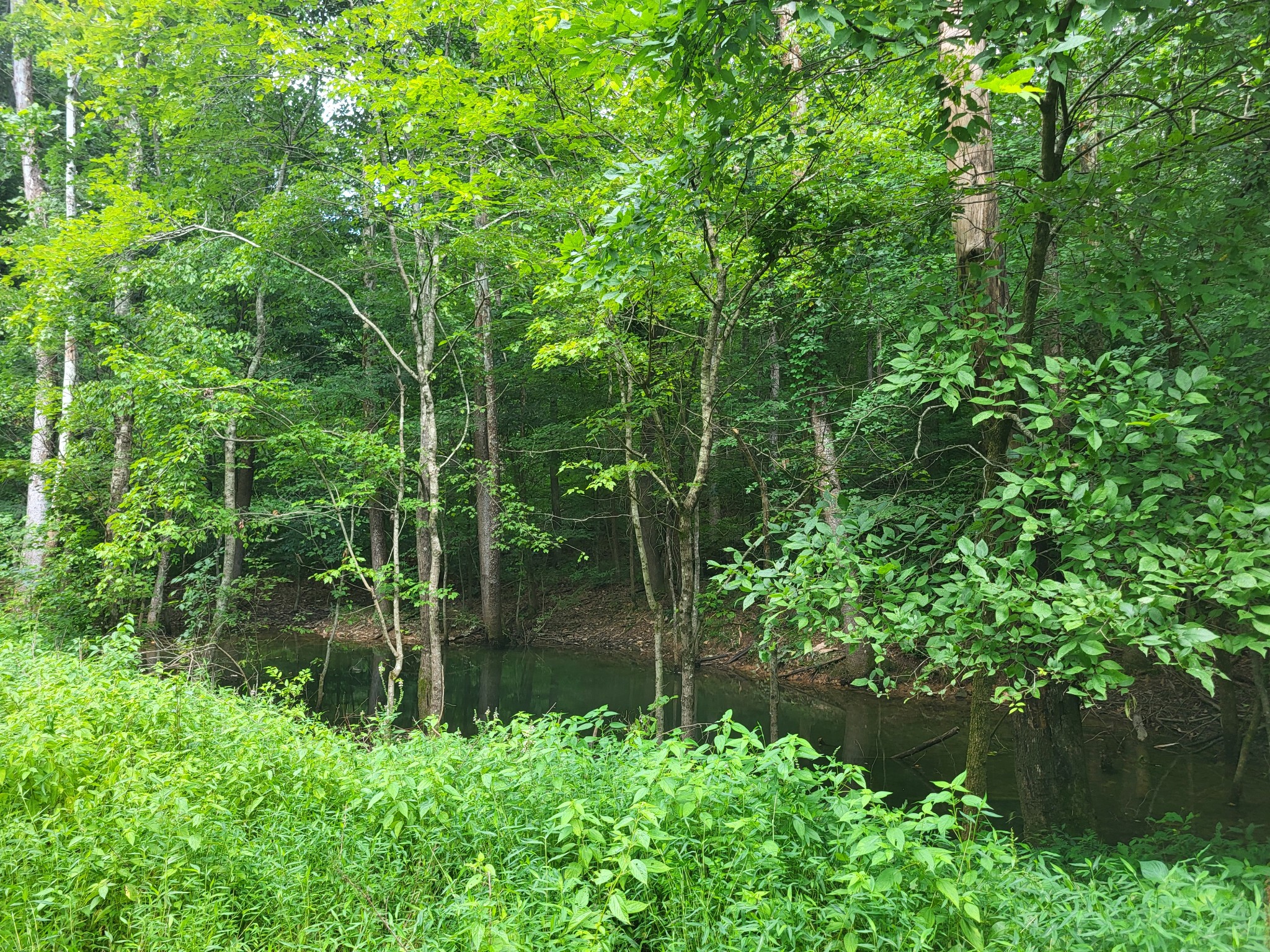 0 Macdonald Loop Dickson, TN 37055 - Photo 5 of 10