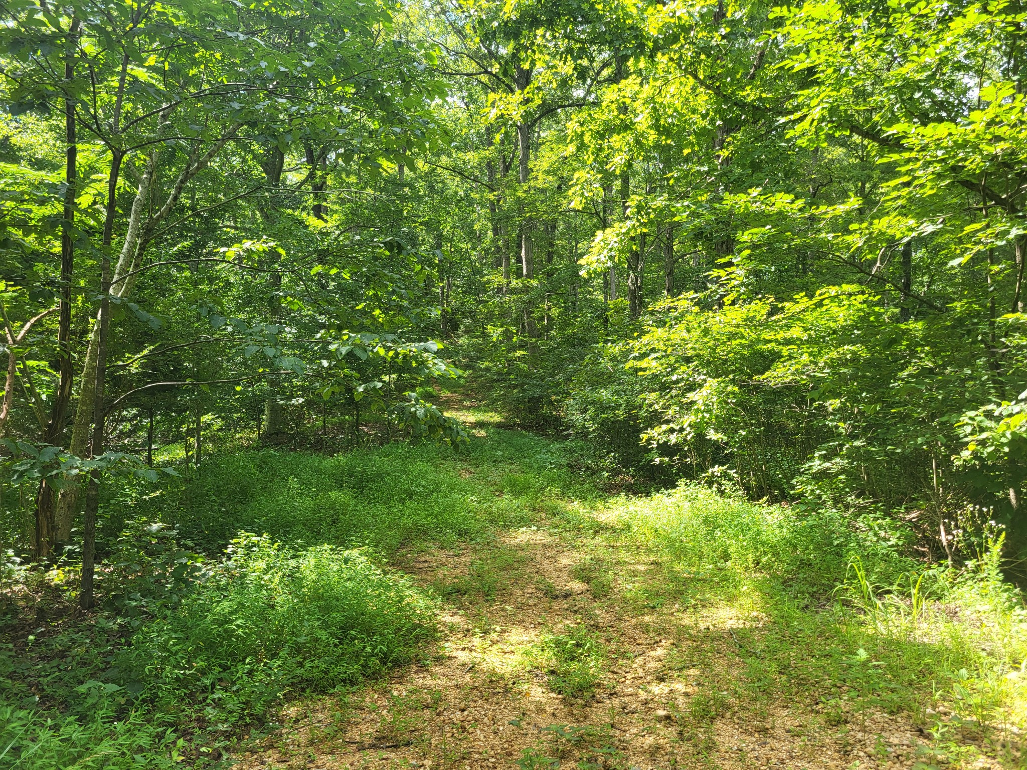 0 Macdonald Loop Dickson, TN 37055 - Photo 6 of 10