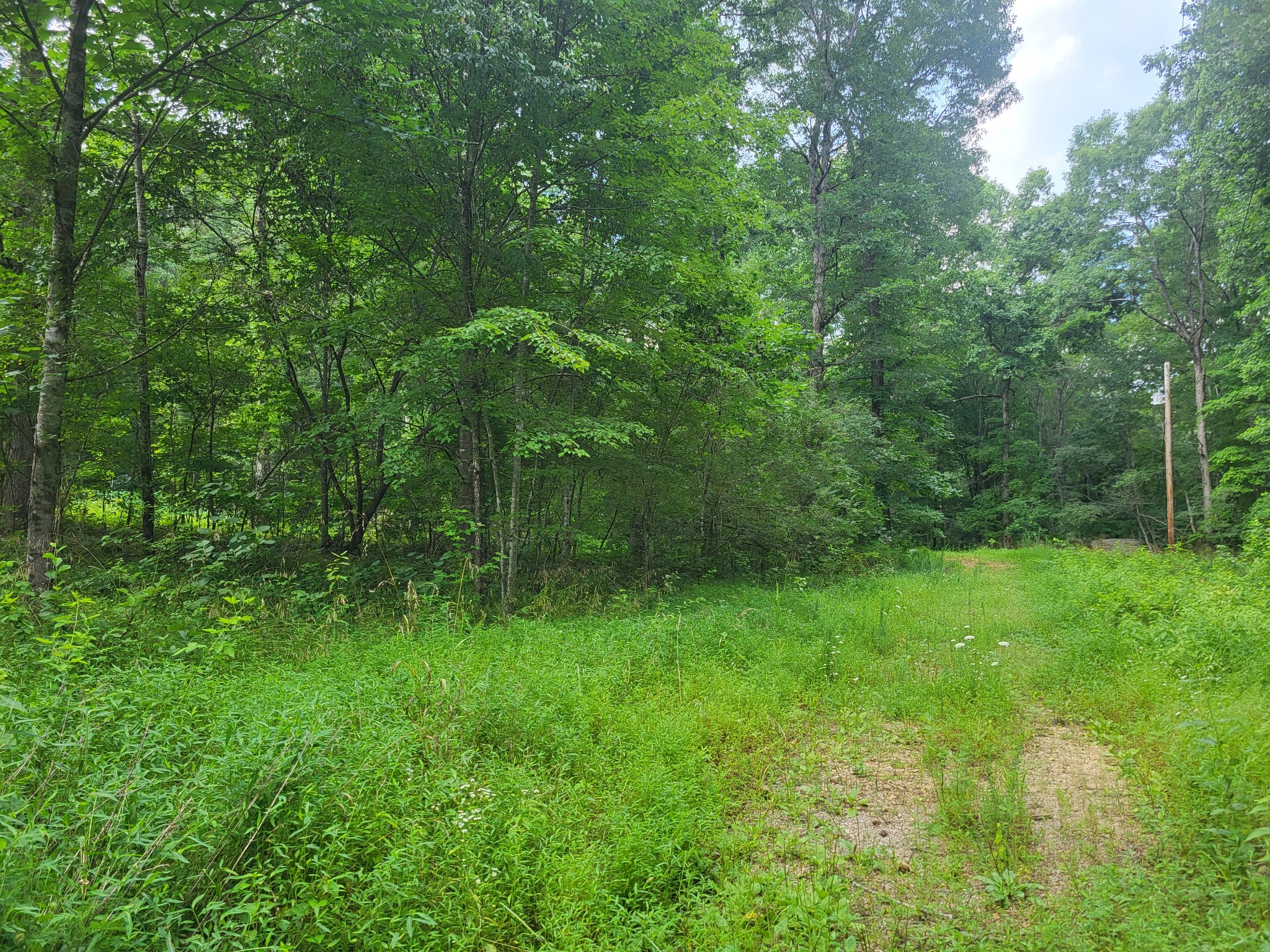 0 Macdonald Loop Dickson, TN 37055 - Photo 7 of 10