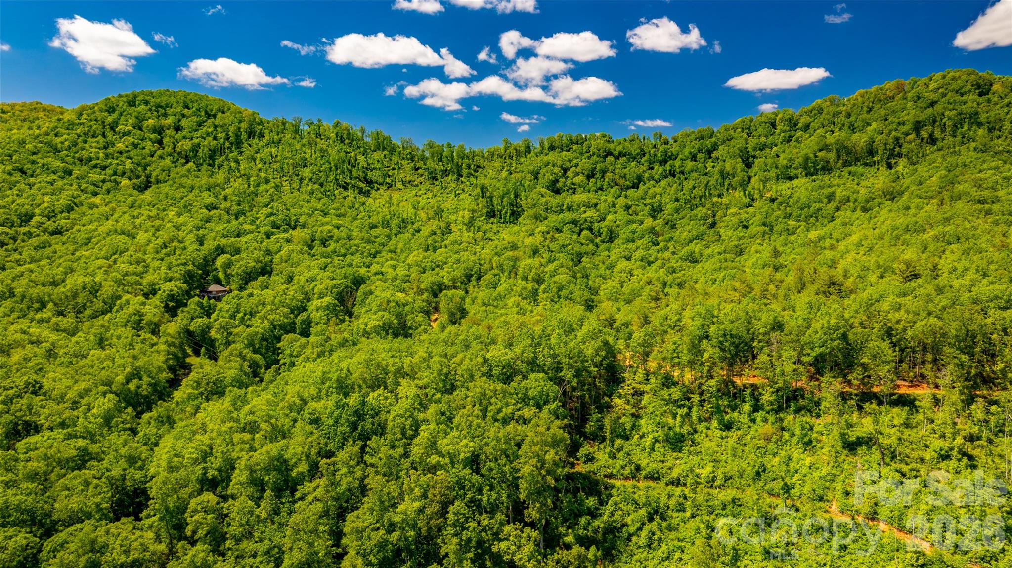 214 Ballard Creek Road Fairview, NC 28730 - Photo 11 of 18 a view of a big yard with large trees