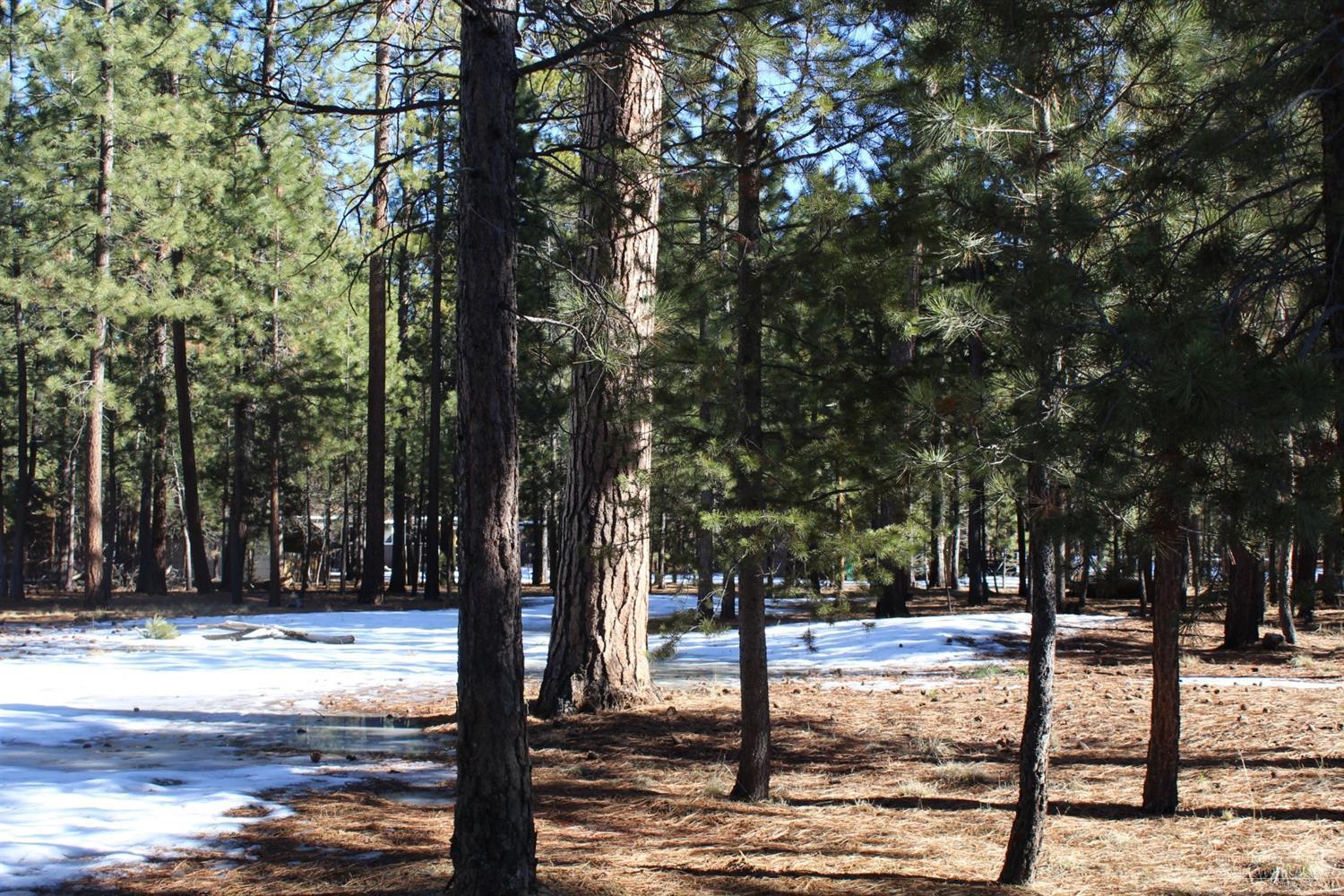 14811 Springwood Road La Pine, OR 97739 - Photo 15 of 16 Additional Photo