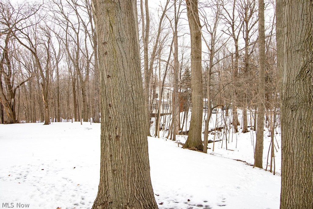 9781 Old Johnnycake Ridge Road Mentor, OH 44060 - Photo 34 of 35