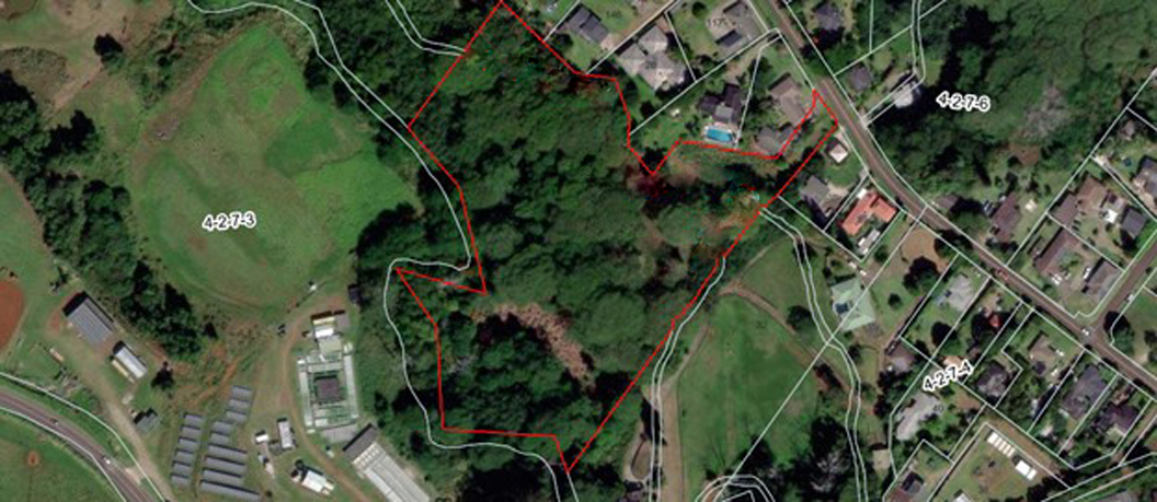 37 Omao Road Koloa, HI 96756 - Photo 6 of 14 a view of a plant