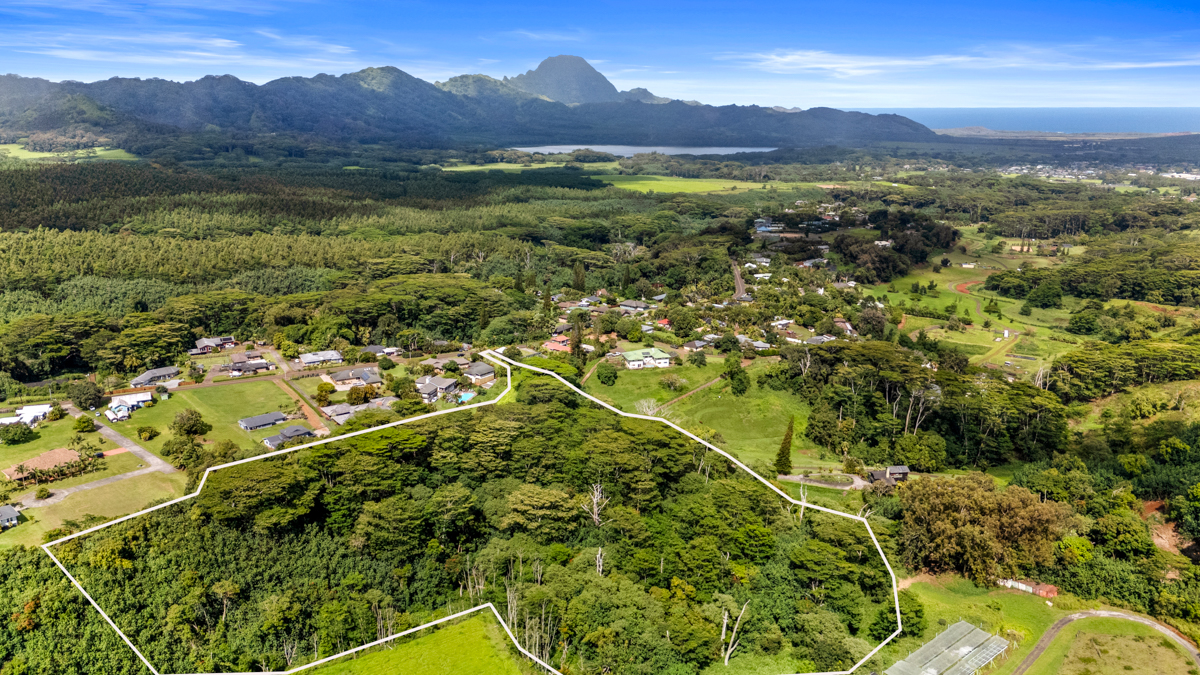 37 Omao Road Koloa, HI 96756 - Photo 9 of 14 a view of a lush green hillside and houses