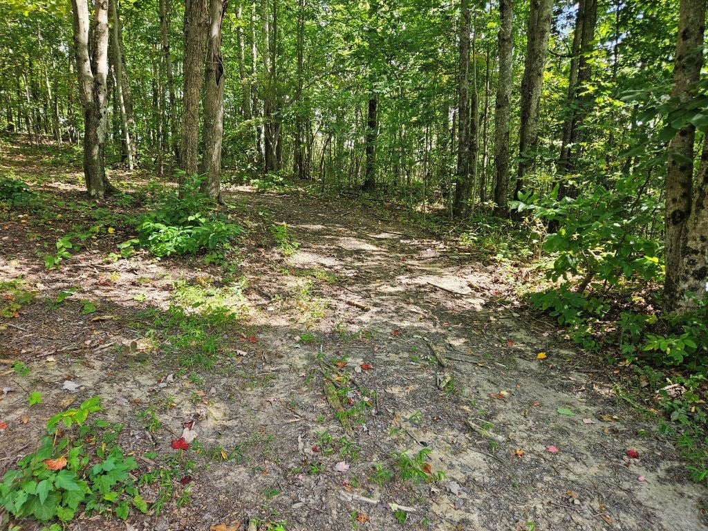 13.51-ac Cartwright Road Rowe, VA 24646 - Photo 24 of 25 Gallery Image 24