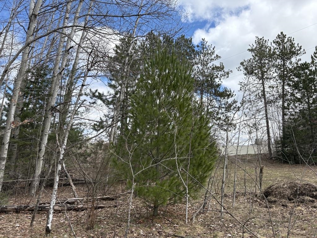 2450 North Marshall Road Beulah, MI 49617 - Photo 10 of 21