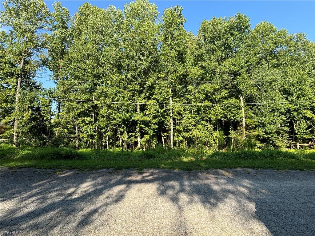 0 Bainbridge Street High Point, NC 27263 - Photo 2 of 2