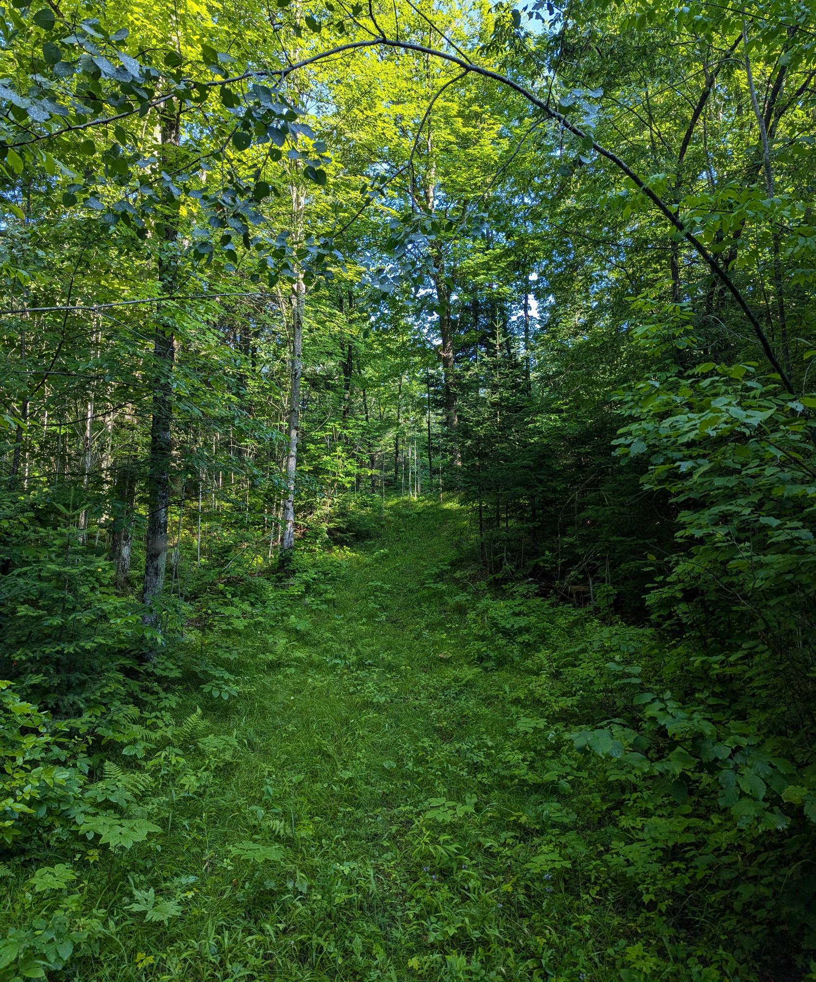 N7032 Carpenter Creek Road Phillips, WI 54555 - Photo 38 of 48 Gallery Image 38