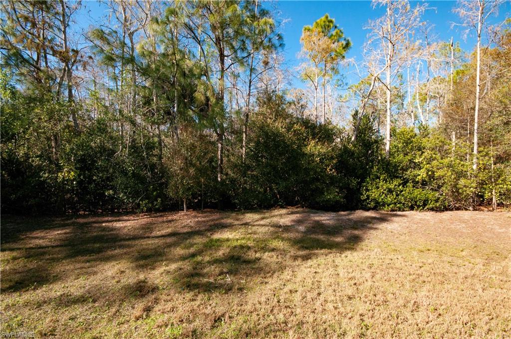 3281 Lindsey Lane, Unit 55 Naples, FL 34109 - Photo 34 of 43 a view of a yard with a trees