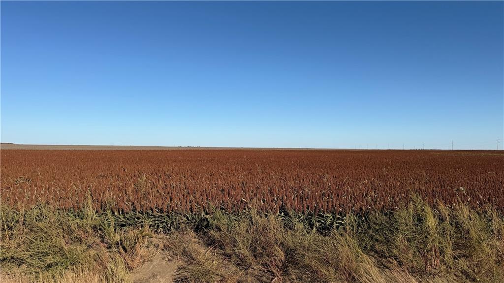 24 Road Fowler, KS 67844 - Photo 4 of 8